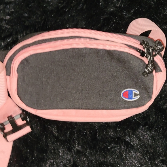 Champion Phanny Pack - Picture 1 of 2